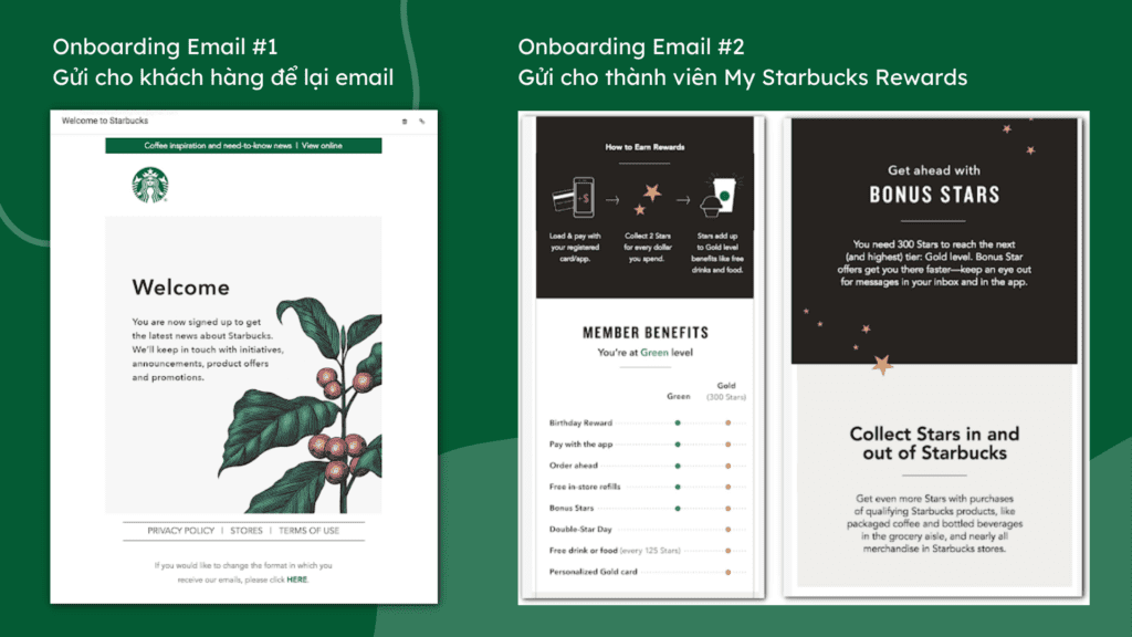 Trong chiến dịch gửi Email Automation để onboarding khách hàng, Starbucks gửi email theo hai tập khách hàng khác nhau. 